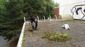 technicien nettoyant terrasse des mousses